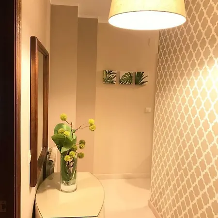 아파트 Pisos Centro *